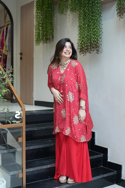 Aviya Embroidered Co ord Set