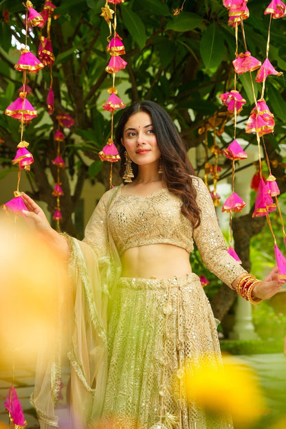 Gildessa Heavy Lehenga Set